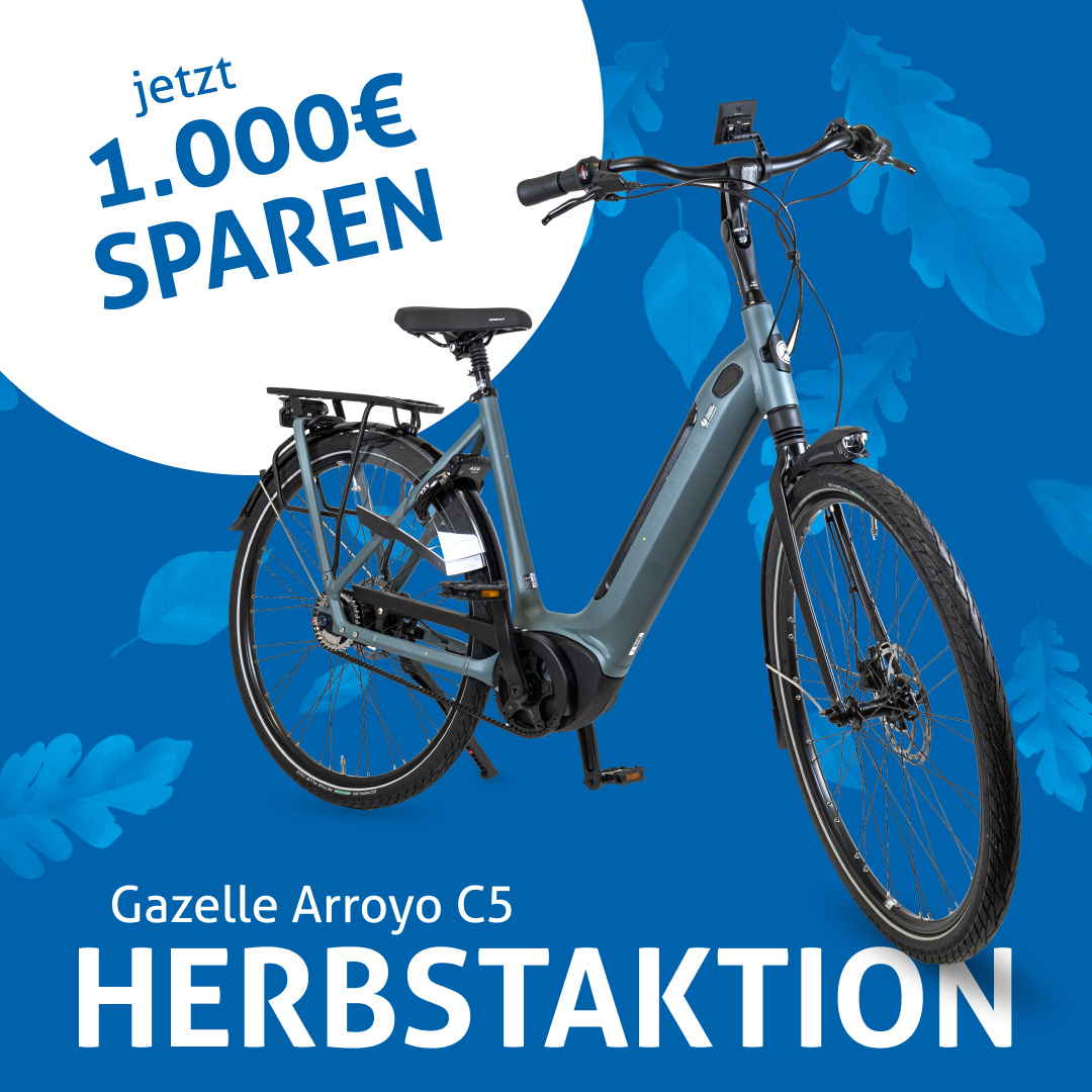 Herbstaktion Gazelle Arroyo C5